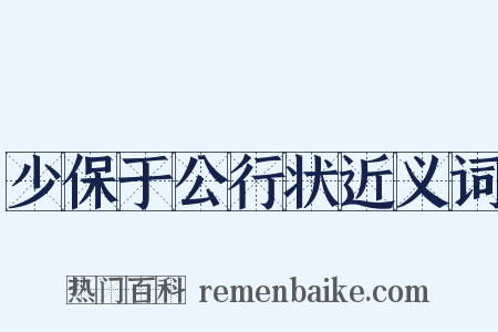 少保于公行状近义词是什么意思的图片